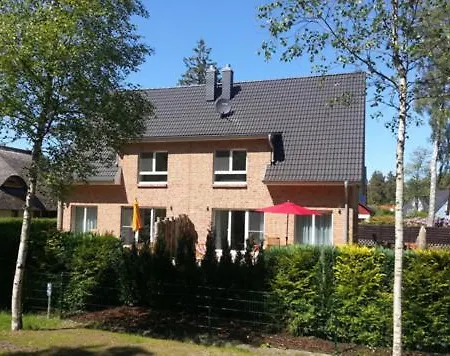 Strandvilla Birkenallee Haus Sommerlicht