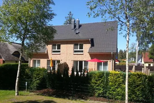 Strandvilla Birkenallee Haus Sommerlicht